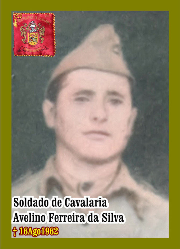 Avelino-Ferreira-da-Silva-920