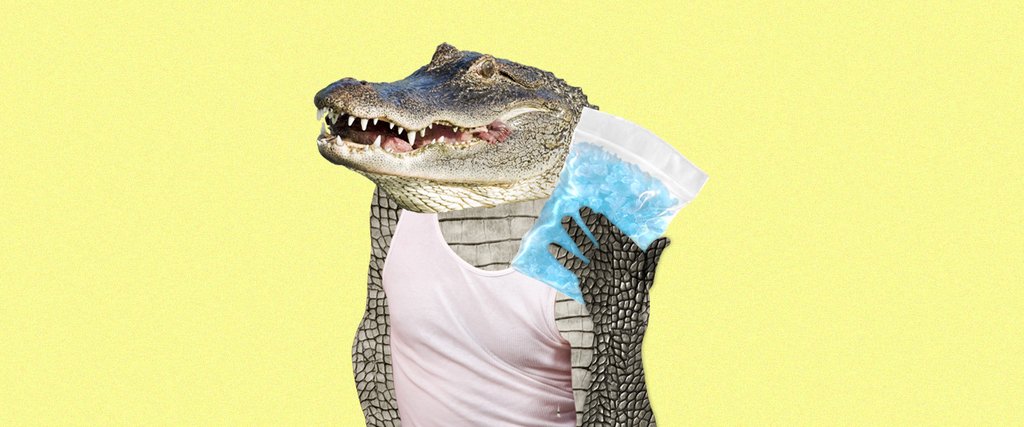 [Linked Image]