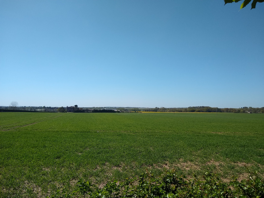 IMG_20200420_145644462