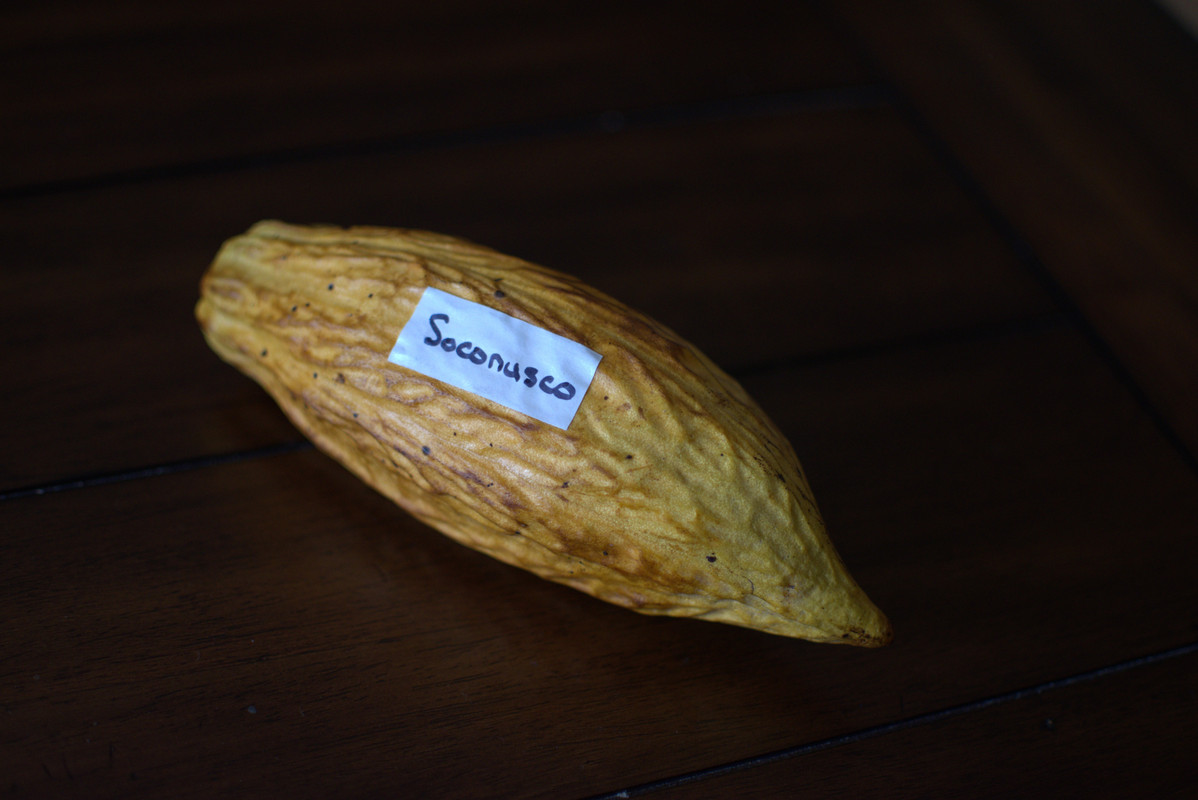 A355C14E-96B4-4327-9CCF-BE5DB3C3064E