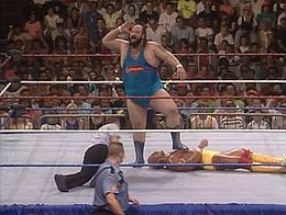 SummerSlam_(1990)
