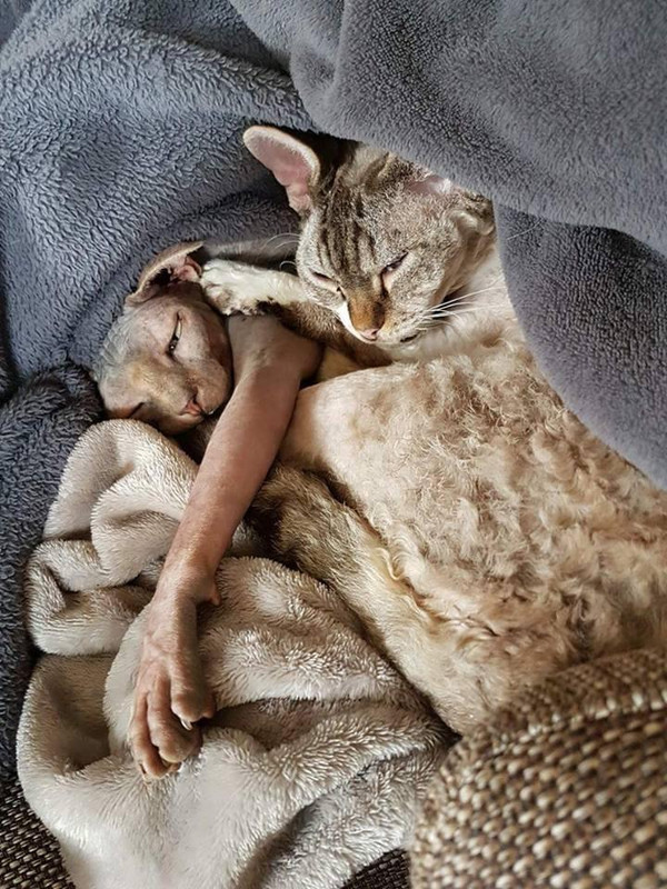 (JPEG Image, 720?×?960 pixels) - Scaled (66%)