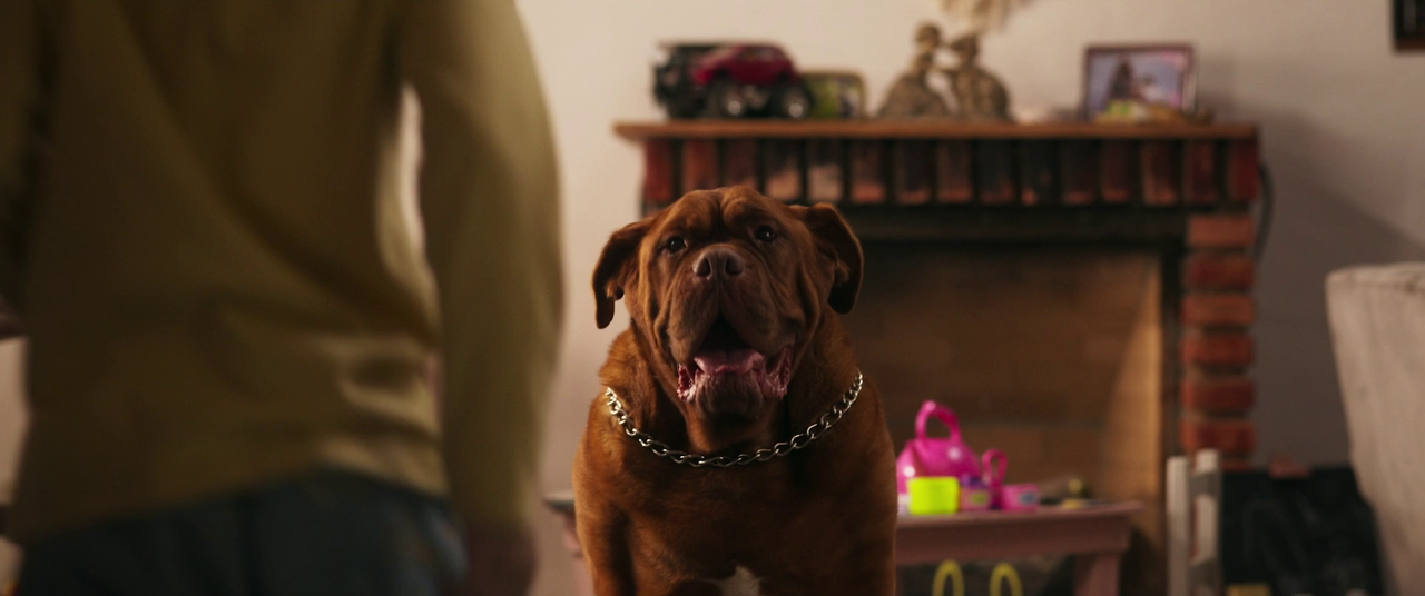 vlcsnap-2024-11-15-22h40m09s998