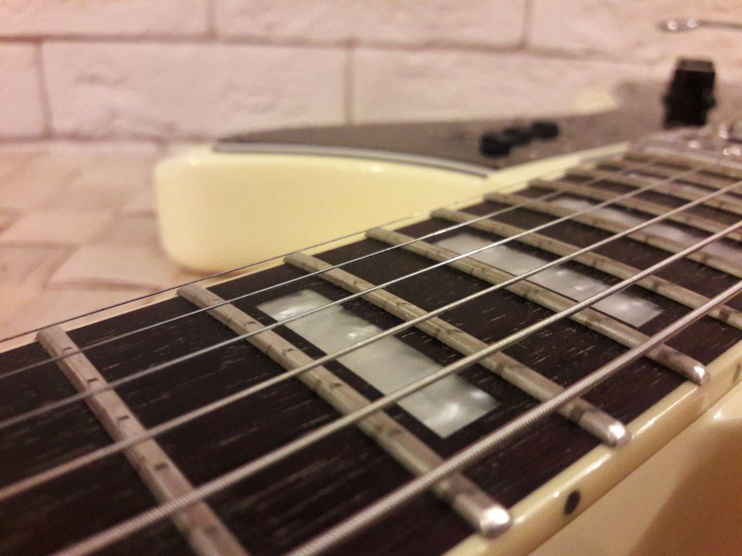 photo_2018-12-12_23-52-52