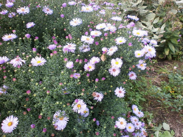 0_b5a65_6b6215db_L