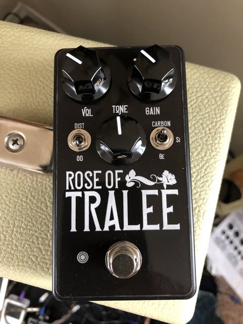 Rose-of-Tralee-front.jpg