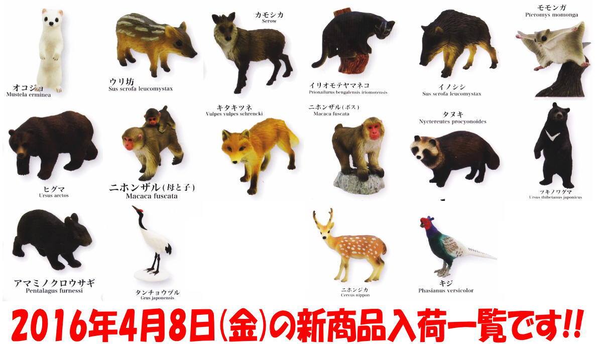 Corrections for Toy Animal Wiki - Page 19 12976945-511677212349922-827932729768370538-o-1