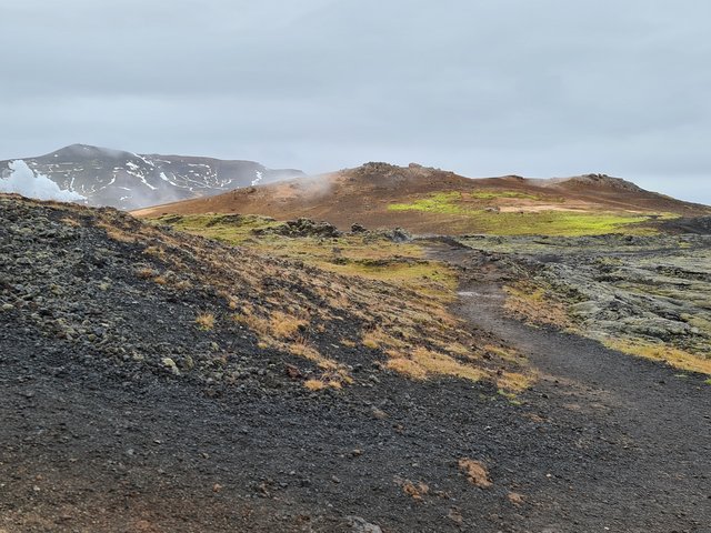 DIA 11: HVERIR A SEYDISFJÖRDUR - Islandia en tiempos de Covid. Y con Camper! (9)