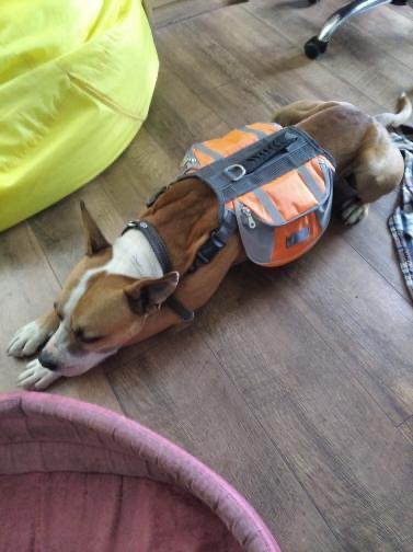 A122DEE3-61CC-4A36-93F0-EDA28E73EA46