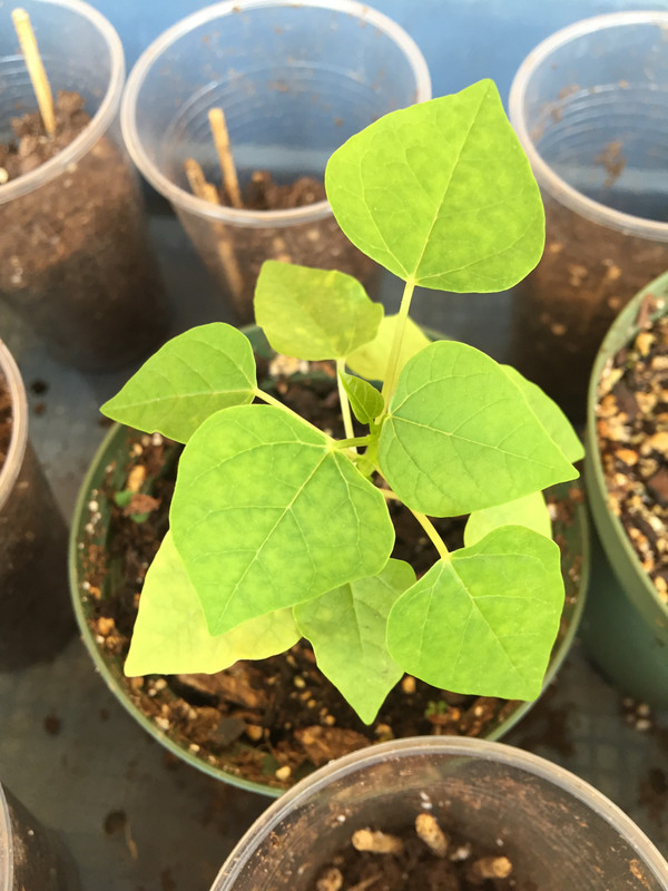 C0E72DC9-A0BB-49D9-BDE5-6EE463BC454C