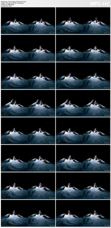 The Grudge 2 Parody 4K.mp4_thumbs_[2020.09.16_20.19.02]