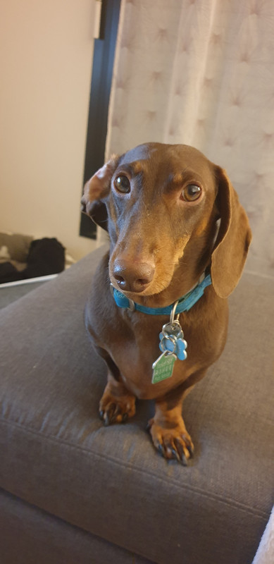 [Image: 20201006-202729.jpg]