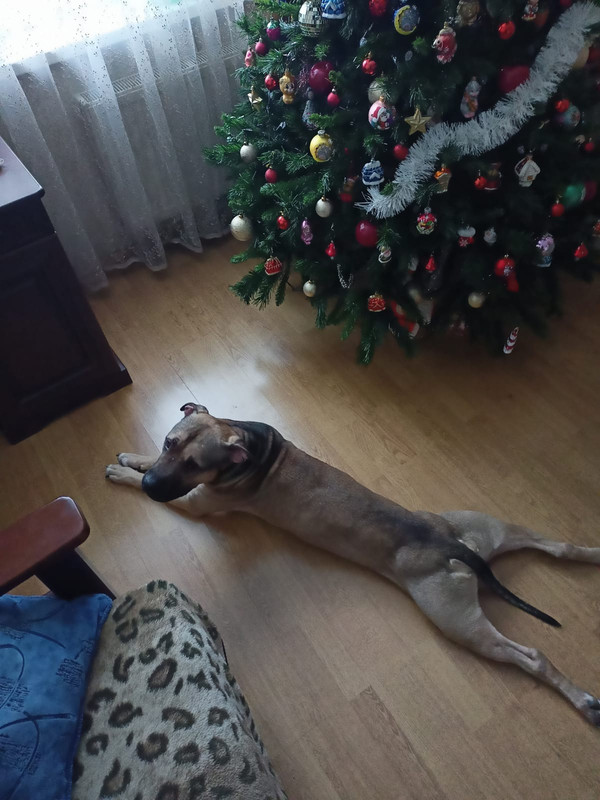 DC170178-B911-443D-B8D3-9704471E8A4F