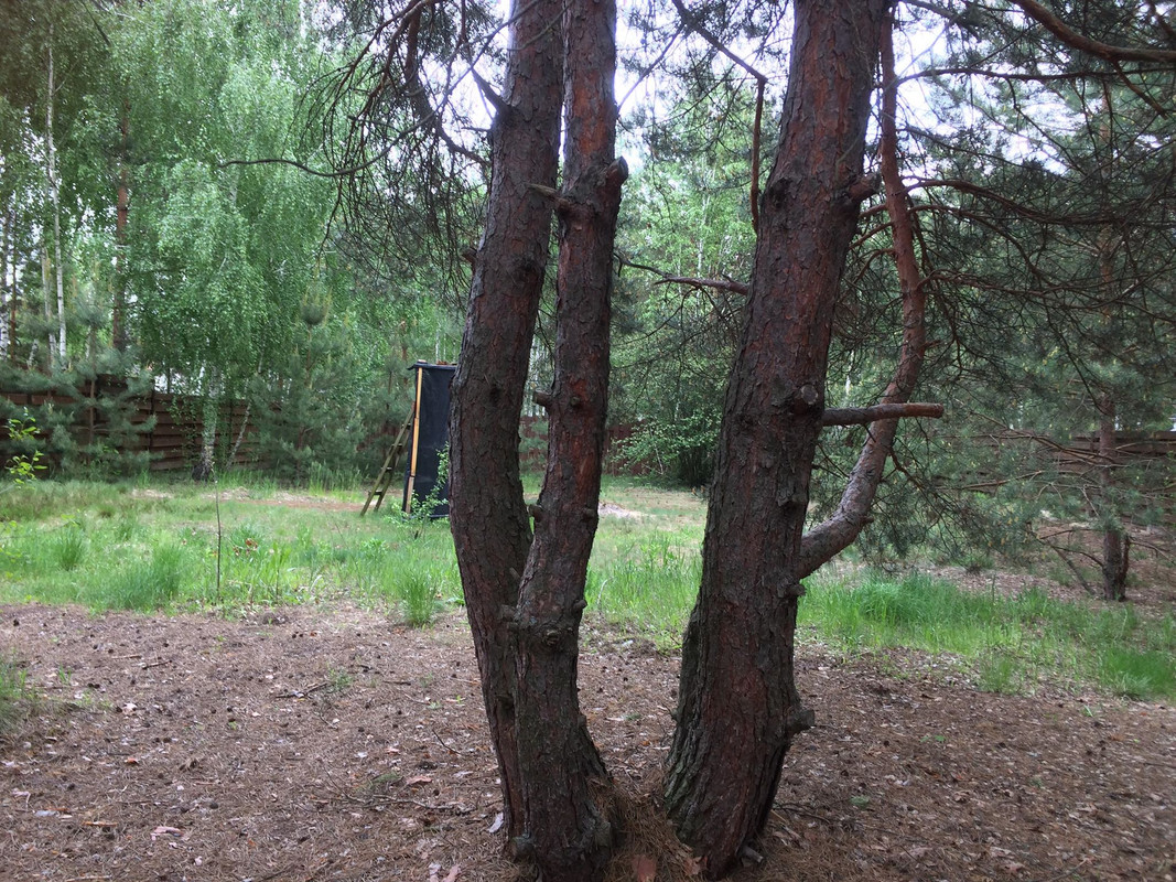 61692223-647765012315073-319944002348515