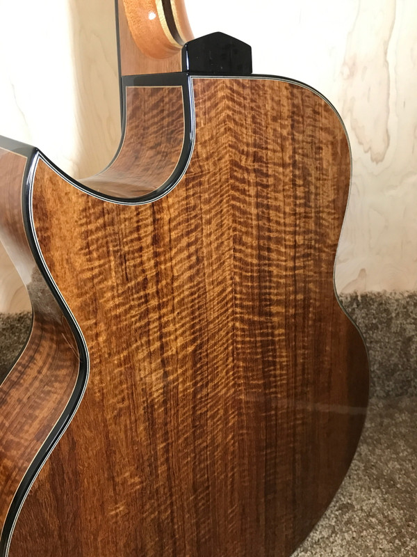 20.IrvinSJCutawayCustom.finished.back02