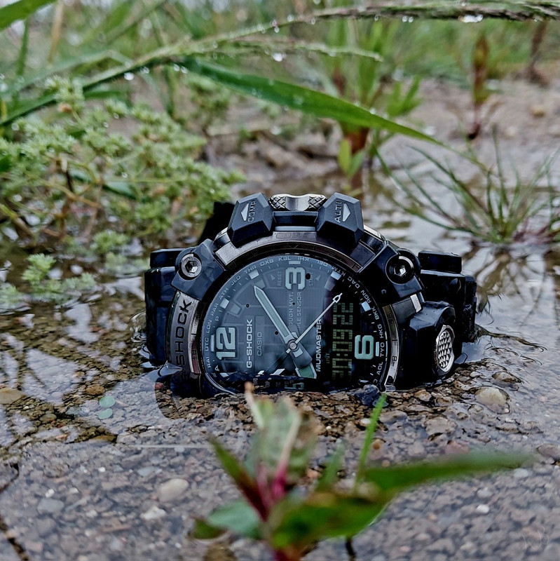 Photo_1718352309048_OGnQvpu45C