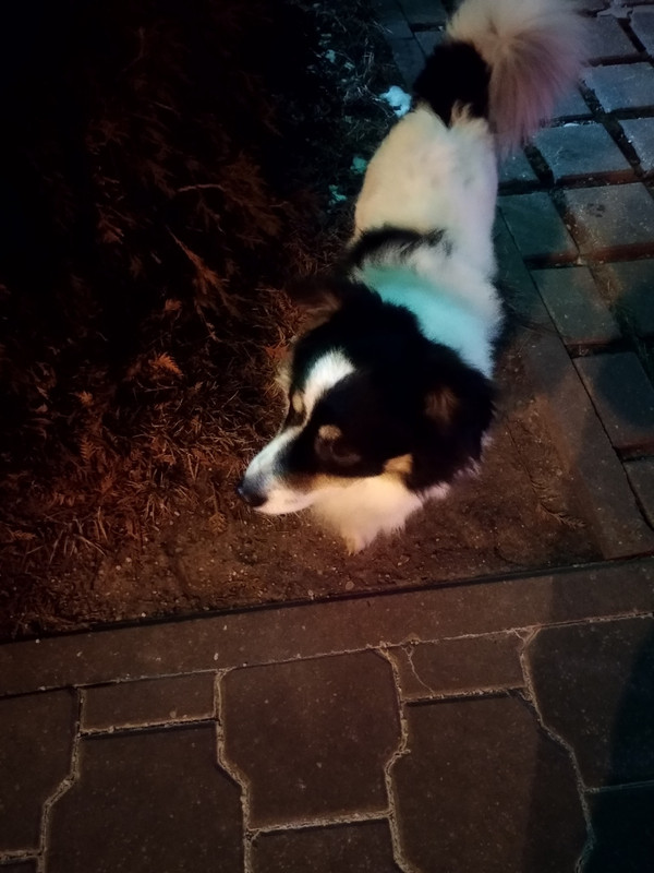 6B56E73F-4A47-4DE8-BAA3-8070FD321C52