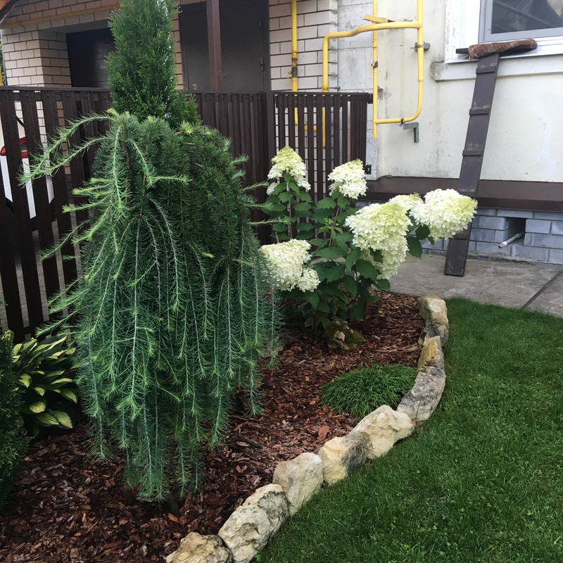 A5EB695B-500E-4AF2-A109-2D40BDD24B41