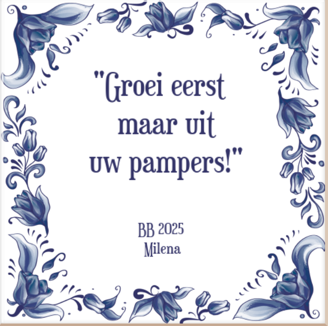 Schermafbeelding-2025-02-12-101915.png
