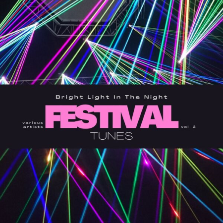 17753abc e568 4fc3 aa0b 3ffd1bf36be8 - VA - Bright Light in the Night (Festival Tunes) Vol 3 (2023)