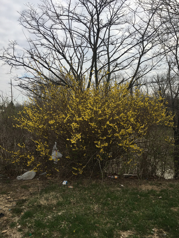 3E99482F-B7AF-4237-A5F9-FC7259E524E1