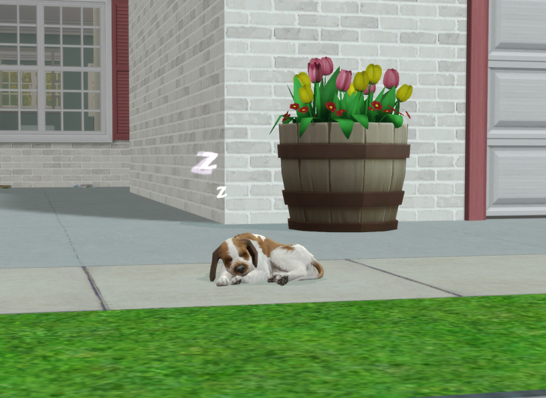 Sims2-EP9-RPC-2024-04-05-20-29-13-29