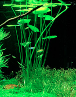 Screen Shot 2016-11-03 at 22.25.24