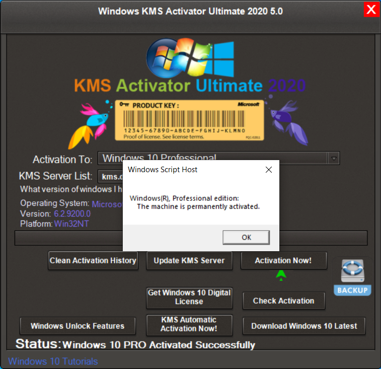 Активация windows 10 activator. Kms активатор. Kms активатор Windows 10. КМС активатор виндовс 7. Активация Windows через kms.