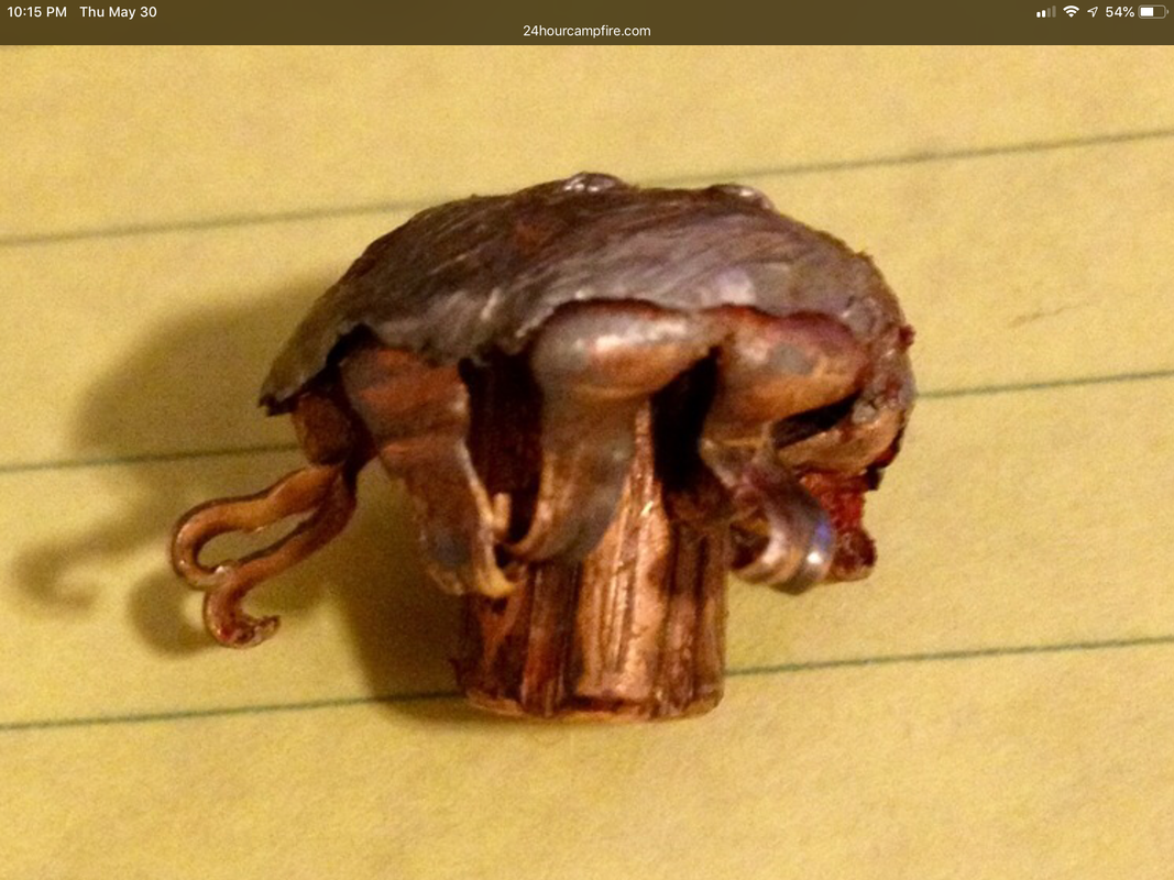 .129 Hornady  sp cow elk @ 257 yds