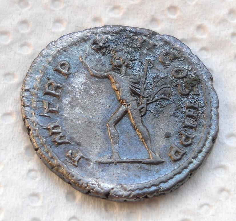 PM TRP XIII COS III P P