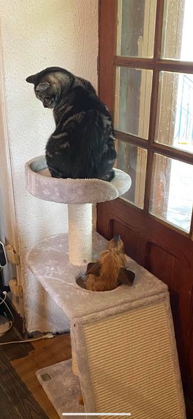 [Image: photo-Copie.jpg]