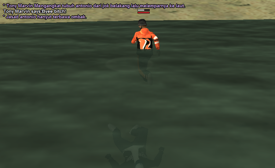 SSRP-13.png