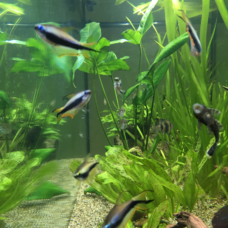 10 4 26 — Postimages