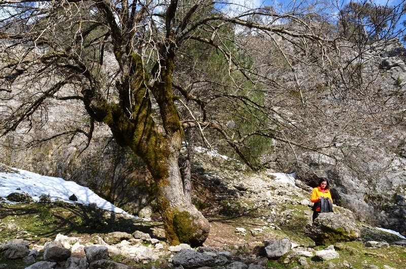 RUTA RIO BOROSA-12-3-2016-JAEN - Paseando por España-1991/2016 (161)
