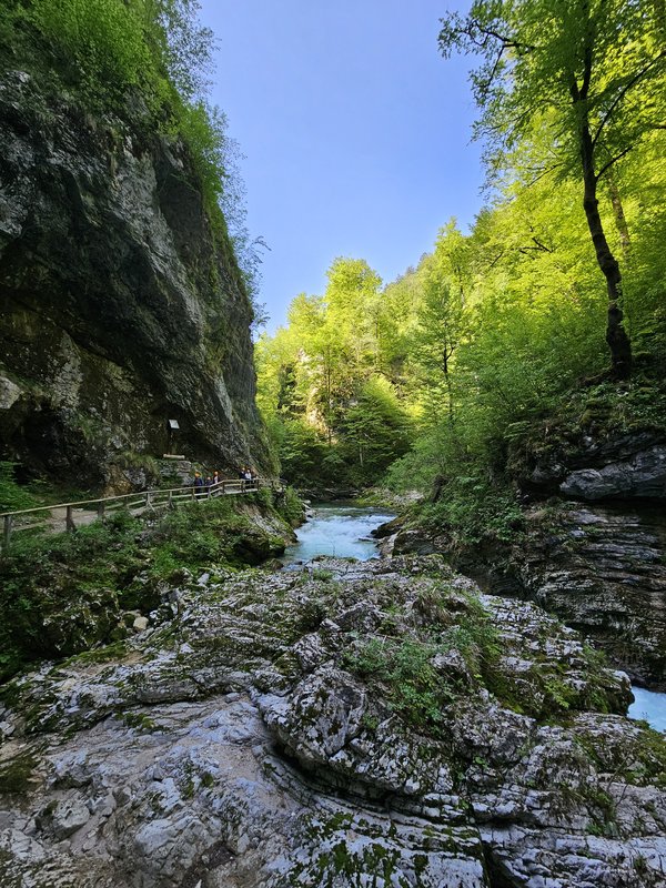Slika