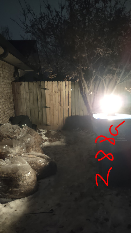 IMG 20260131 202941960 (1)