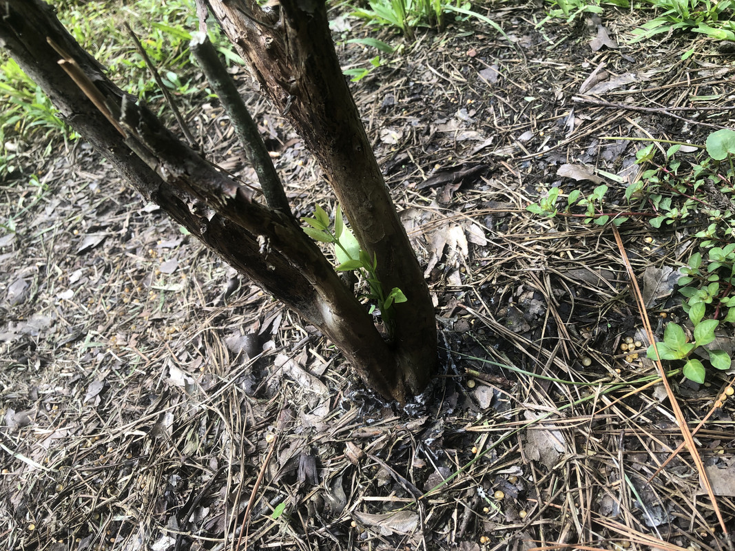 E7D8D532-E9F9-47D9-98ED-086E40B995B1