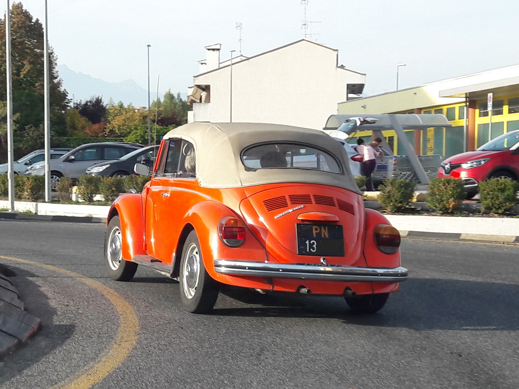 i.postimg.cc/fRjGJRVx/20191022-181856.jpg