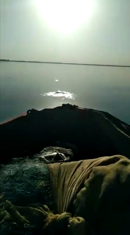 20220717-141302.jpg