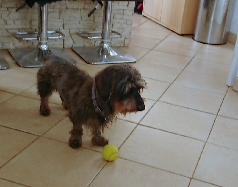 [Image: 20240122-155837.jpg]