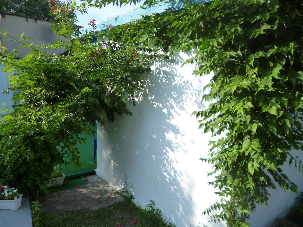 P1190328 [Разрешение рабочего стола]