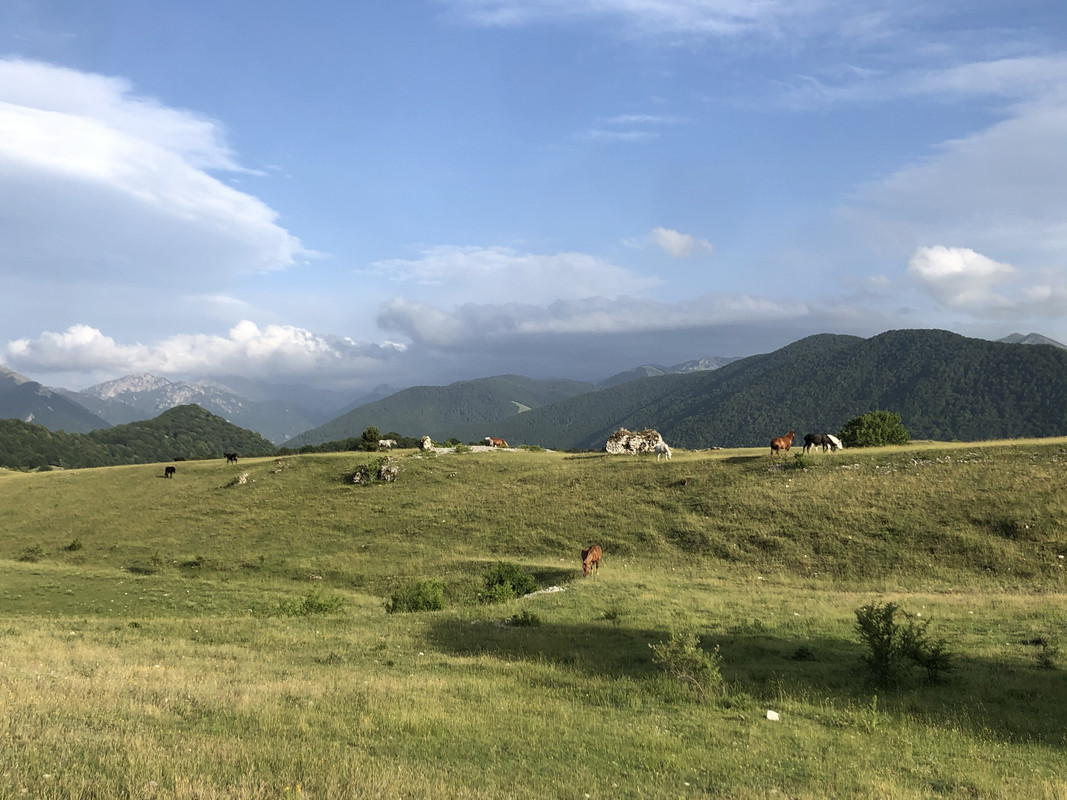 8702C9CC-D91A-4C68-9DB9-13E66A9542AF