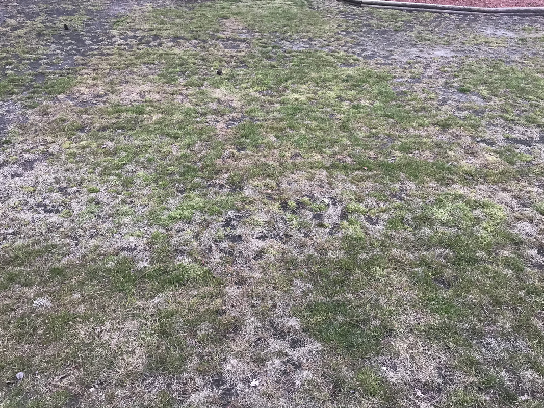 33B17344-880C-400C-B8DD-426CB13FEDD5