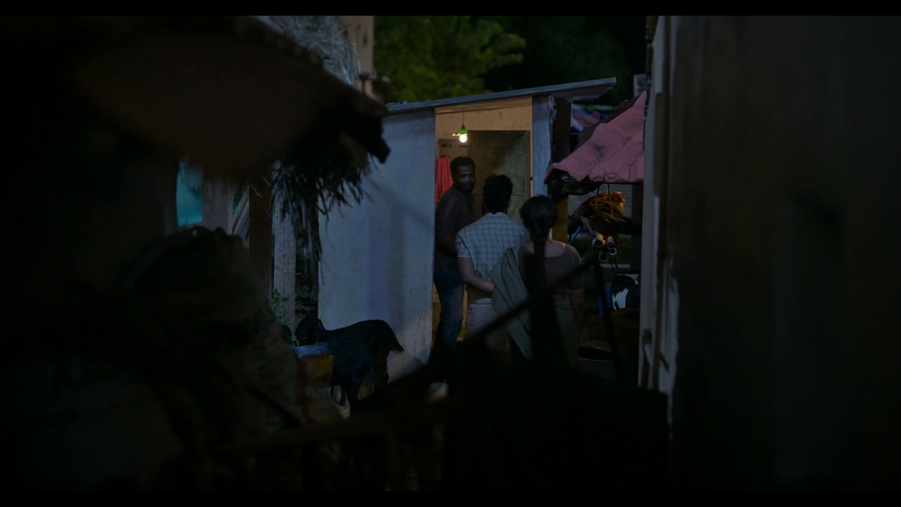 vlcsnap-2025-04-24-21h22m10s536