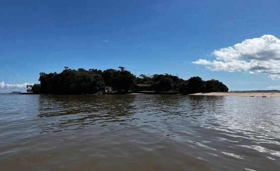 Animação GIF