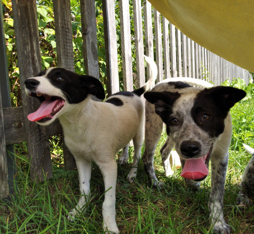 Enigma 4 with her brother