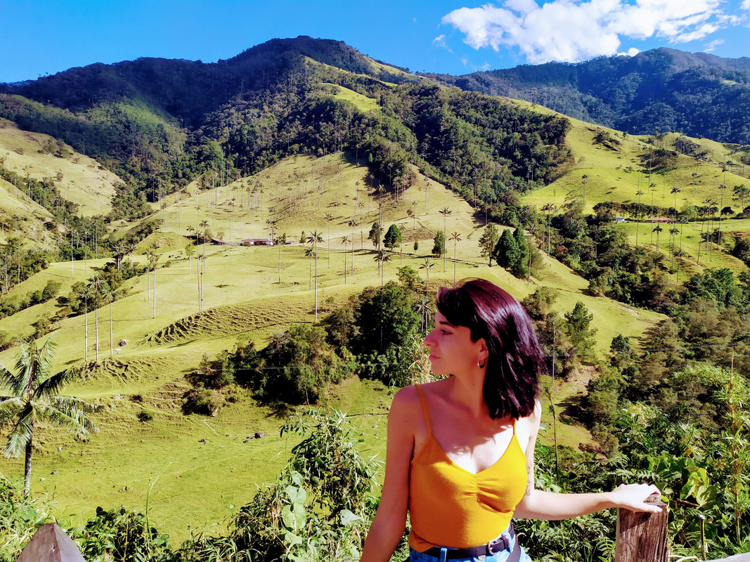Colombia por libre en 18 días - Blogs de Colombia - Valle del Cócora y Salento (11)