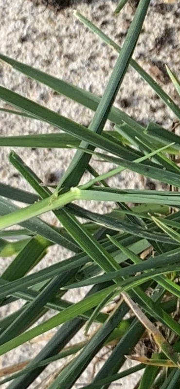 4E1E6775-7168-48EF-AE8A-067261347C0B