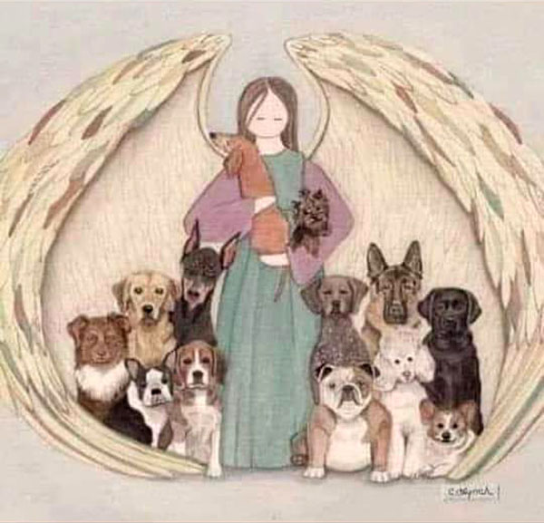 [Image: D-c-s-chien-5.jpg]