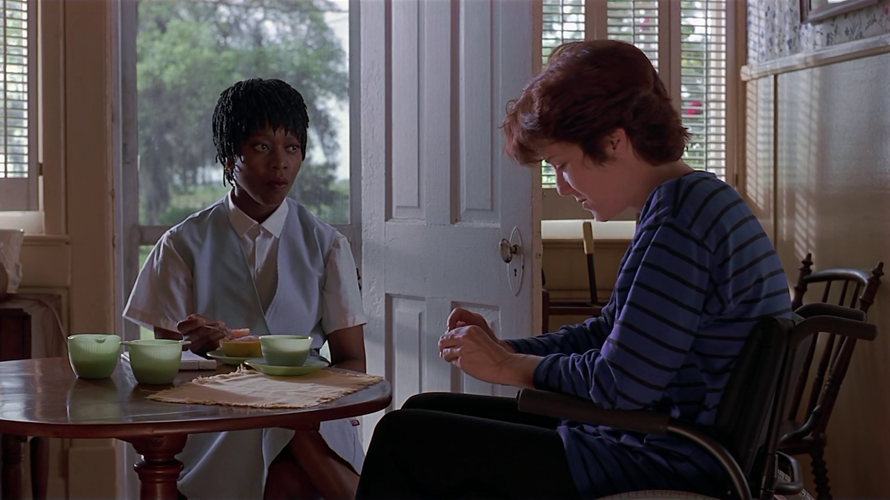 Passion Fish 1992 1080P Web Dl HEVC Tornment666